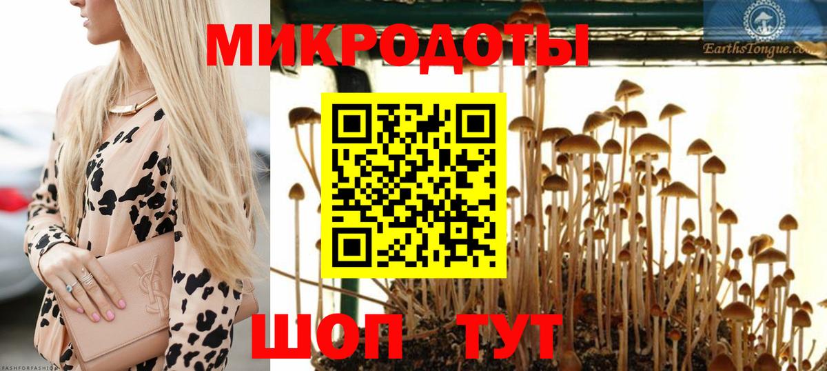 Галлюциногенные грибы мухоморы  Псилоцибиновые грибы мицелий  продажа наркотиков  Вход с VPN  Электросталь 