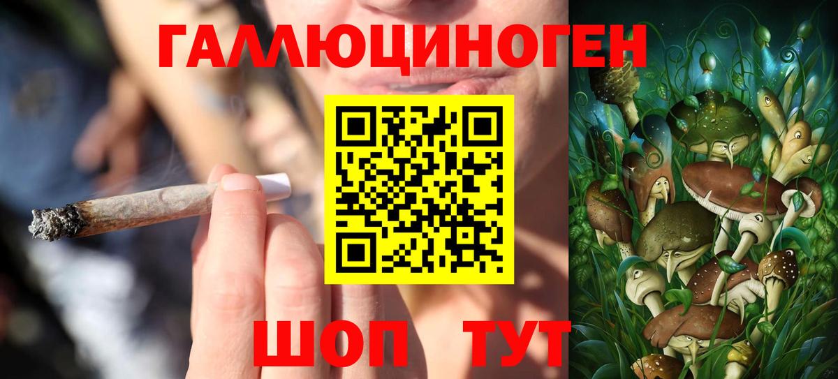 Псилоцибиновые грибы Psilocybine cubensis Электросталь
